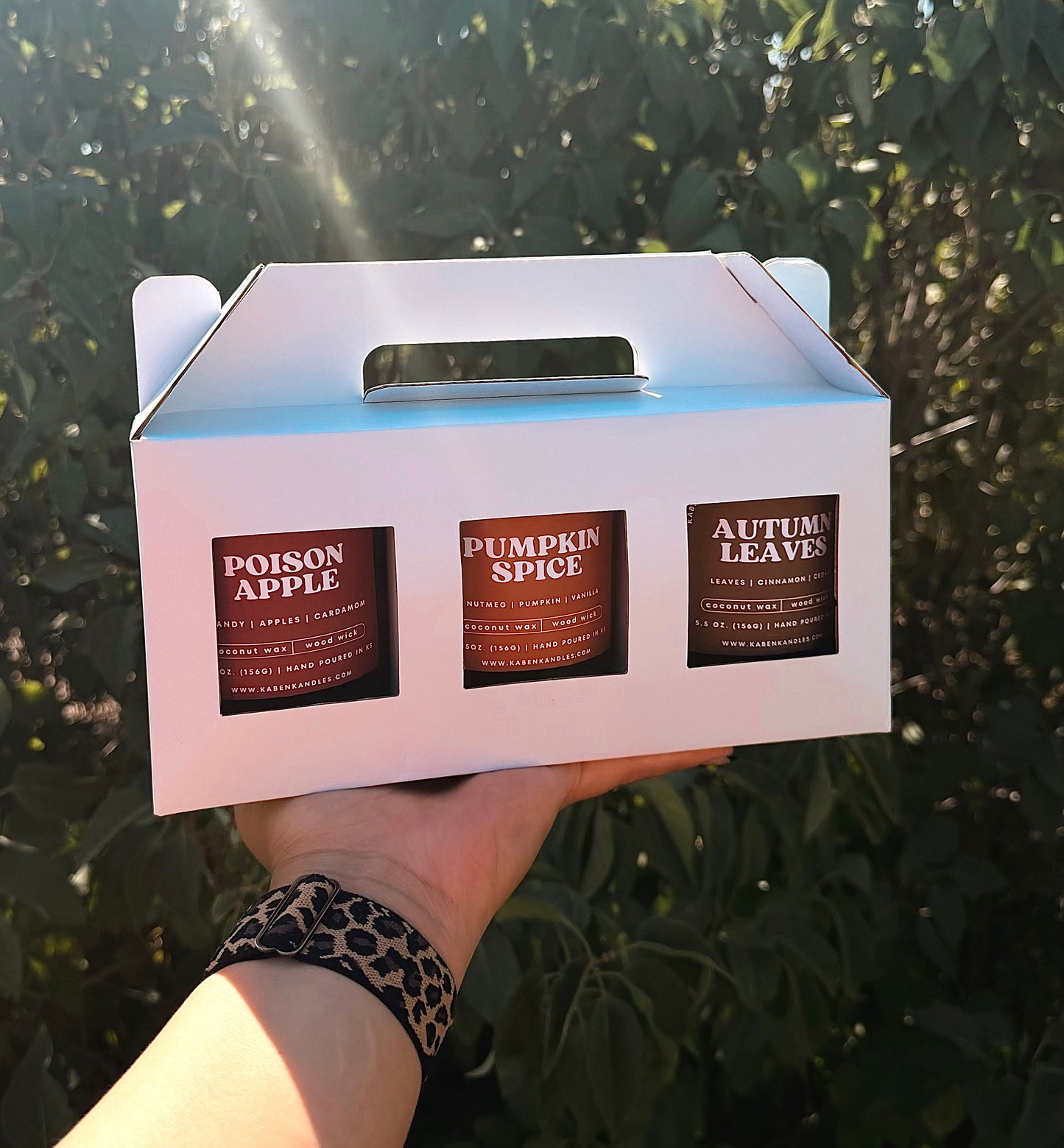 Fall Trio Variety Pack | Fall Collection