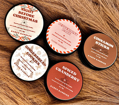 Winter Discovery Set