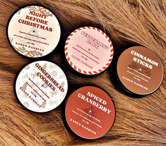 Winter Discovery Set