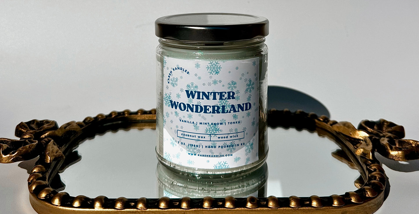 Winter Wonderland | Winter Collection ( Exclusive)